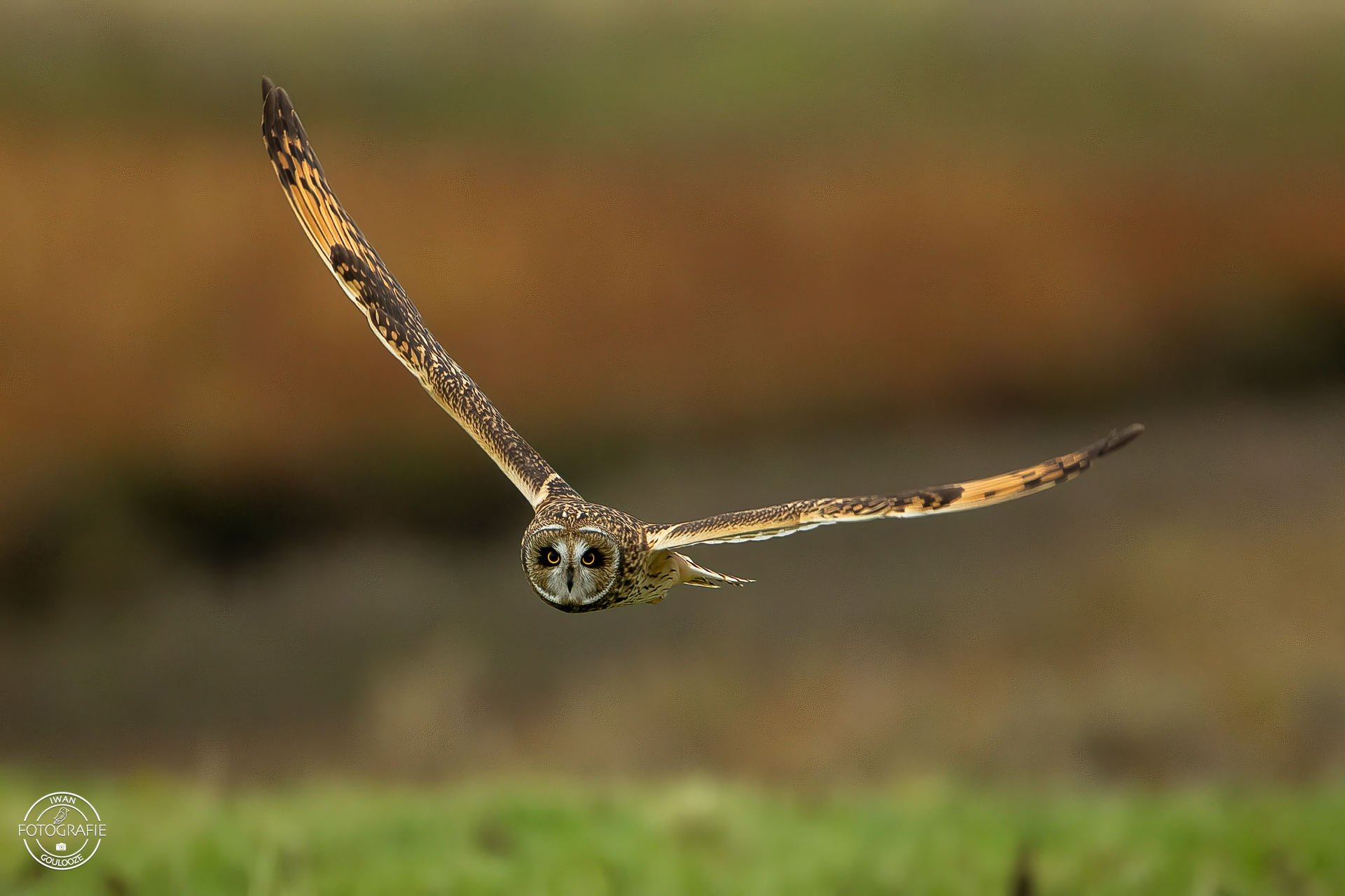 15 oktober 2022 163350 1R2A8804 bewerkt